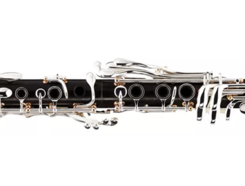 Photo New Buffet Crampon BXXI Professional Clarinet in Bb