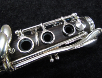 Photo New Buffet Crampon E12F Professional Bb Clarinet